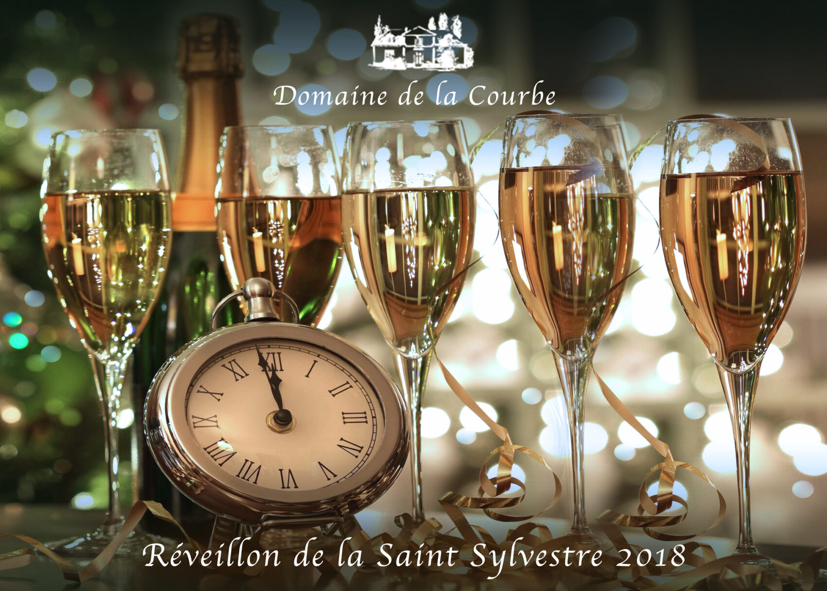 Reveillon De La Saint Sylvestre Domaine De La Courbe